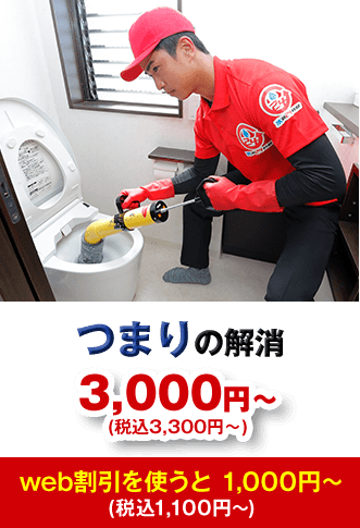 つまりの解消 3,000円から(税込3,300円から)web割引を使うと1,000円から (税込1,100円から)